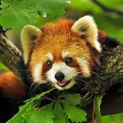 Gordon McAlpin's photo