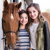 Stacey Shaffer's photo