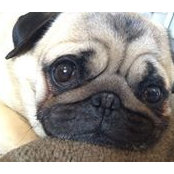 Billy Brown's photo
