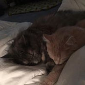 Cheryl Hall's photo