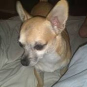Shane Carter's photo