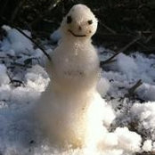 Foto von Tracey Crandell