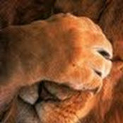 Jonathan Kornreich's photo