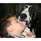 Noreen Raso's photo