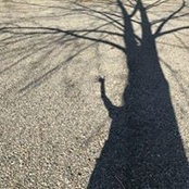 Foto von Kimberly Dulaney