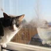 Kathy Jones's photo