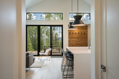 Transitional laminate floor living room photo in Other with a wood stove