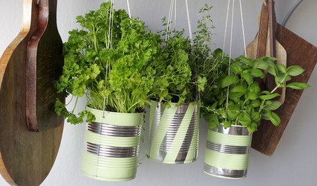 DIY : Recyclez vos conserves pour cultiver des herbes aromatiques