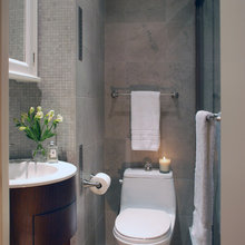TRANSITIONAL BATHROOM IDEAS