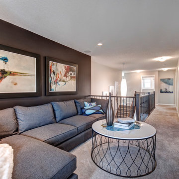 The Vivo Showhome in Harmony