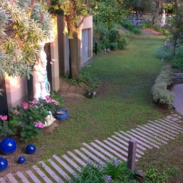 il giardino degli agapanthus