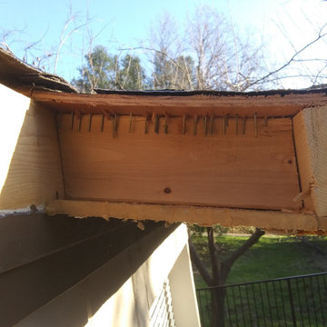 Roof and awning repair