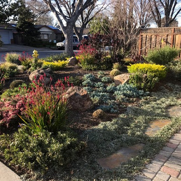 Lawn replacement