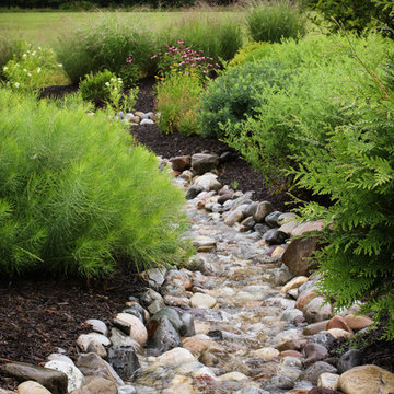 Conservation Meadowscape