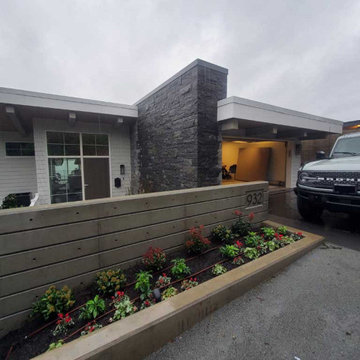 Pet Urine and Feces Removal From Two Area Rugs Located in Port Moody BC Canada