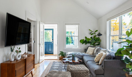 Houzz Tour: Light-Filled 704-Square-Foot Modern Cottage
