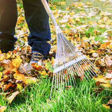 Fall Clean Up
