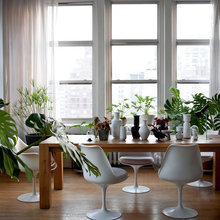 Plants & Garden