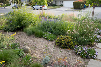 This is an example of a rustic landscaping in Santa Barbara.