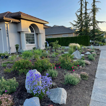 Ditch the Lawn!