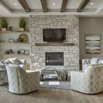 Transitional Living Room