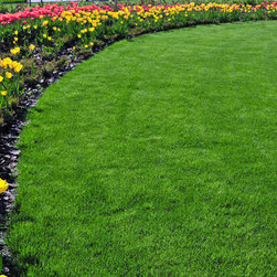 Lawn Care - Products