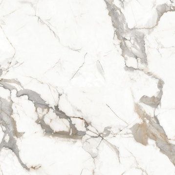 Calacatta Carrara Porcelain Marble Look Wall and Floor Tile, 48x48