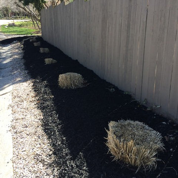 Olympus Cove: Black Mulch