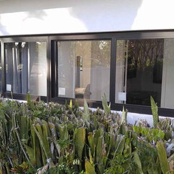 North Miami House - Windows