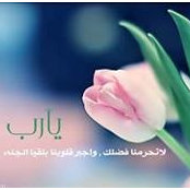 Foto von Remenda Saeed