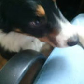 Foto von Nosila Morris