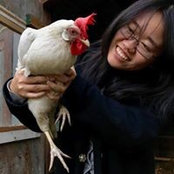 Lynn Xie's photo