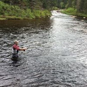 Arnaud Gingras-Tremblay's photo