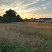 Daniela Nencini's photo