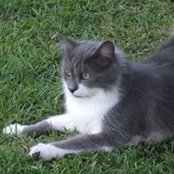 Sherrill Odom's photo