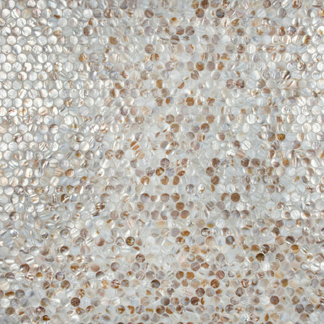 Conchella Penny Mosaic Wall Tile, Natural