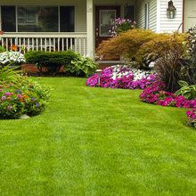Front Yard Ideas