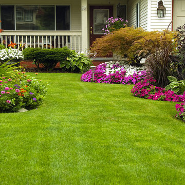 Front Yard and Backyard Landscaping and Floral Ideas