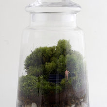 Terrarium Ides