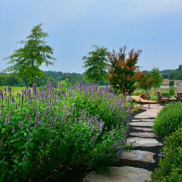 Stepping Stone Path