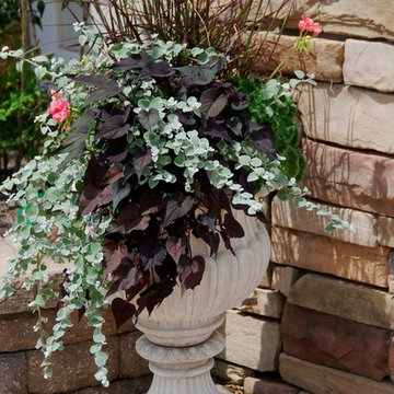 Potted Urn