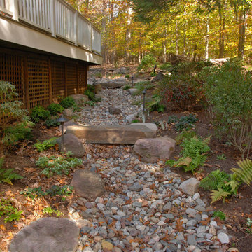 Clifton Contemporary ackWoods Homestead