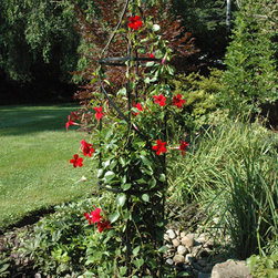 Small Border Tuteur - Products