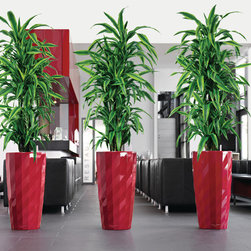 Modern Planter - Products