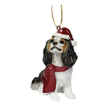 Cavalier King Charles Spaniel
