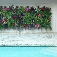 Wall Plants