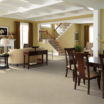 Carpet Room Scenes