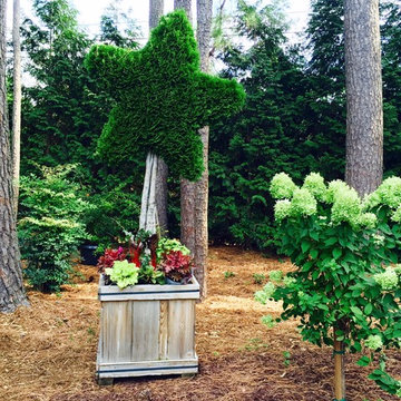 Garden Viewpoints