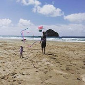 Tom Bourne's photo