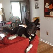 Debby Lippincott's photo